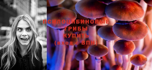 ECSTASY Алзамай