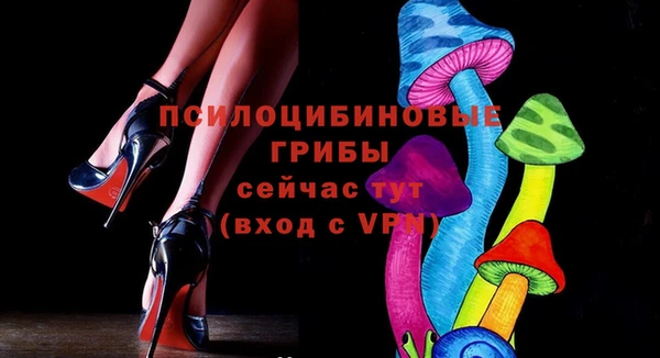 бошки Алексин