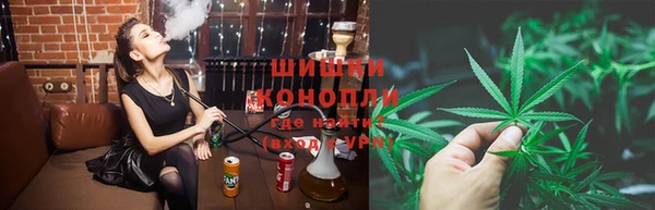 бошки Алексин
