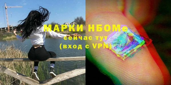 бошки Алексин