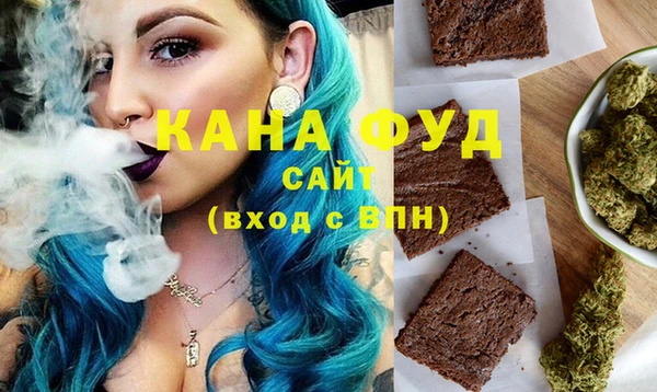 ECSTASY Алзамай