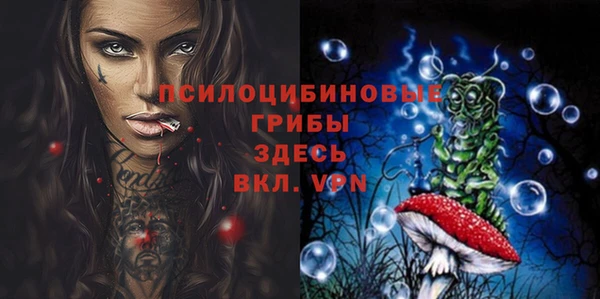 ECSTASY Алзамай