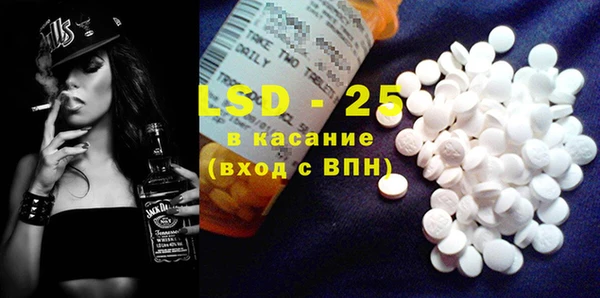 ECSTASY Алзамай