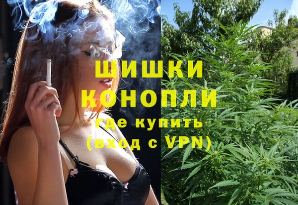 бошки Алексин
