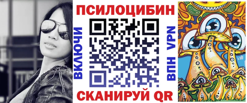 наркота  Яровое  Псилоцибиновые грибы Psilocybine cubensis 